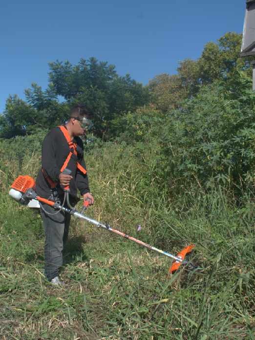 servicios profesionales - SERVICIOS DE LIMPIEZA DE MALEZAS CON CORTADORA DE CÉSPED 