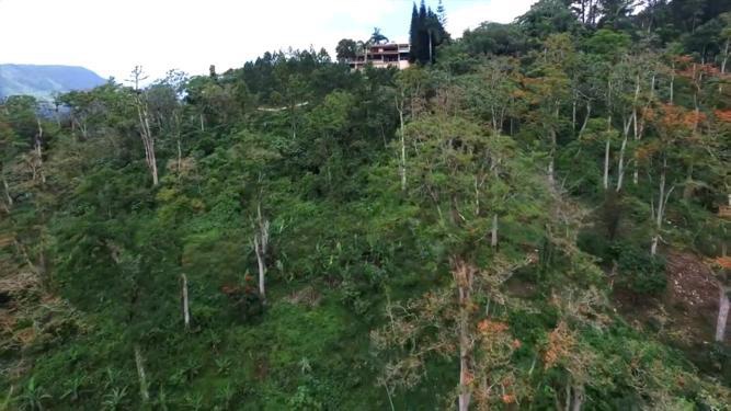 casas - Vendo casa de veraneo en la montaña de la colonia  4