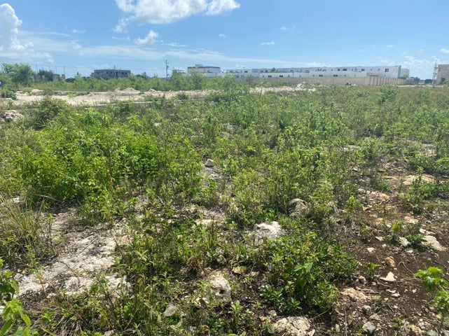 solares y terrenos - Terreno en venta Punta Cana. 2