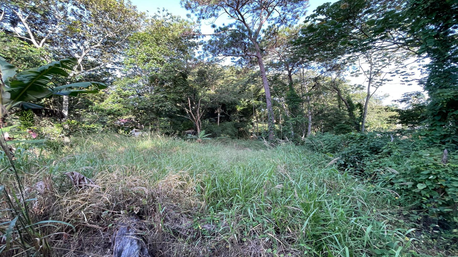 solares y terrenos - Terreno en venta en Jarabacoa