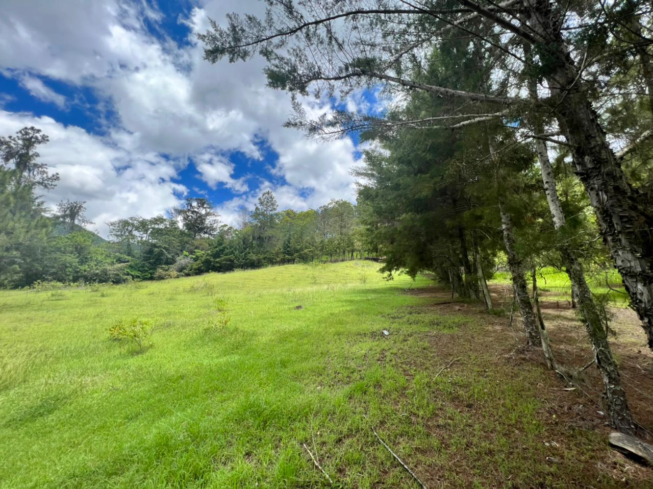 solares y terrenos - Vendo en Constanza varios terrenos