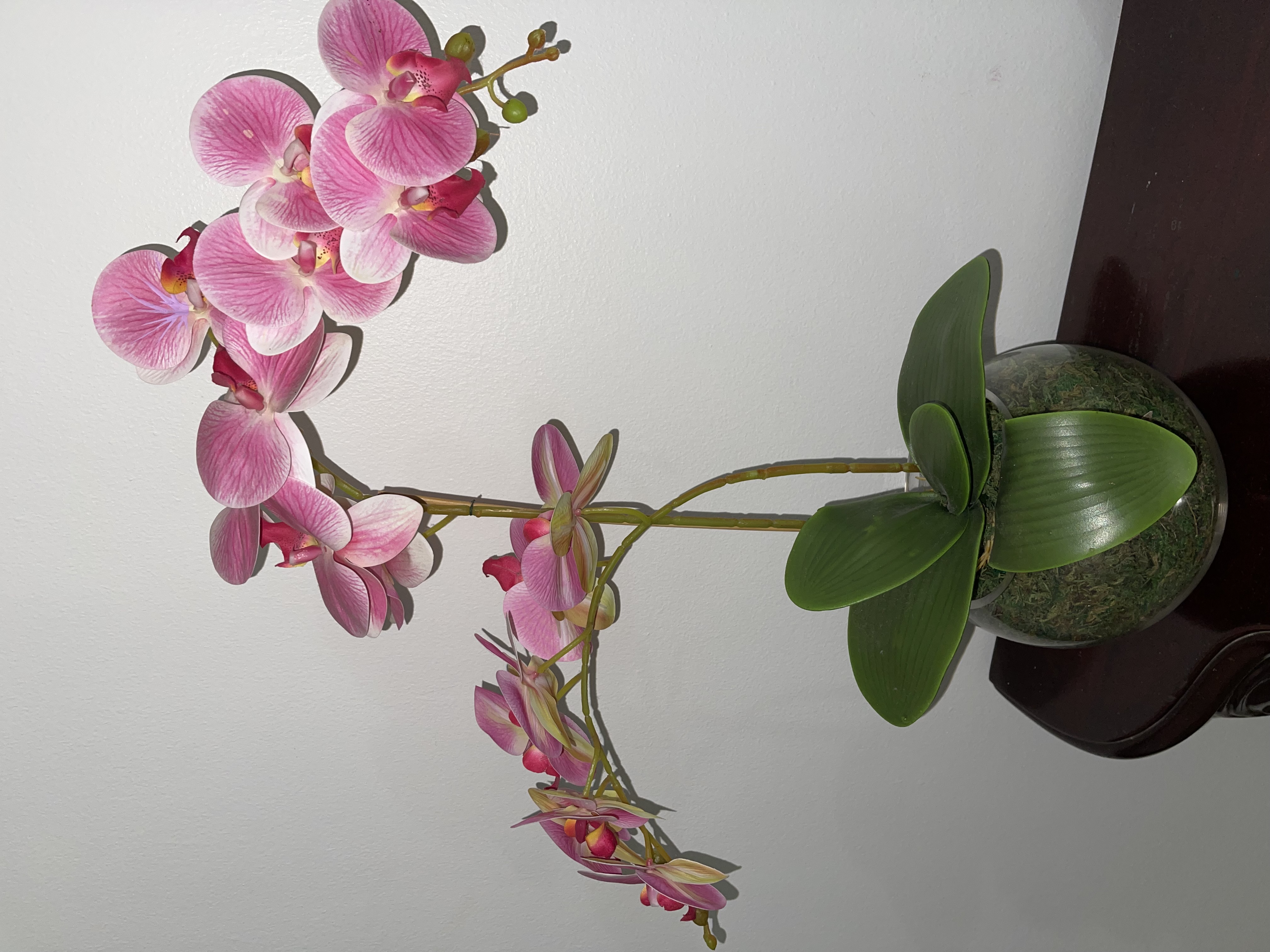 decoración y accesorios - Arreglo de orquídeas 