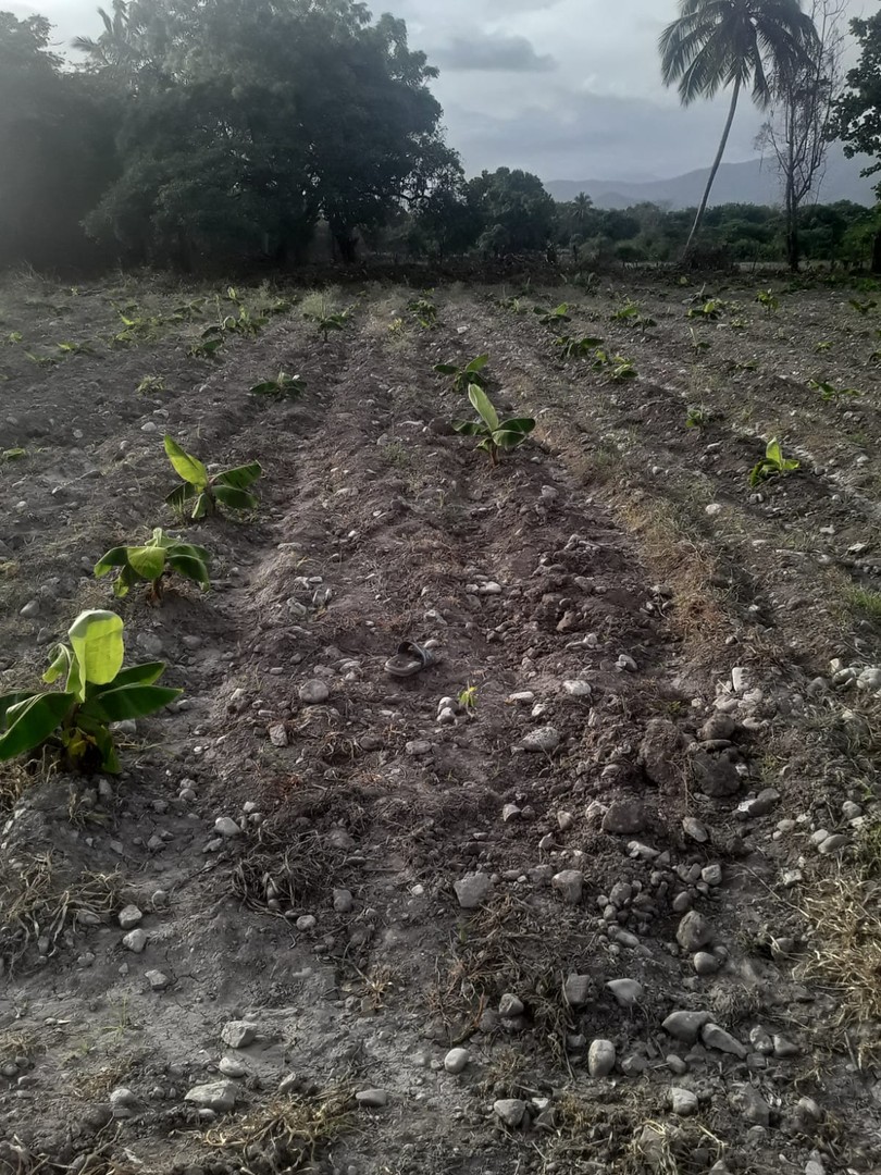 solares y terrenos - Finca de AZUA  4