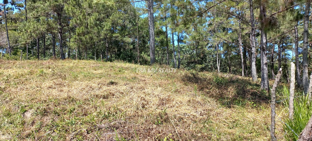 solares y terrenos - Solar en proyecto cerrado en Jarabacoa 5