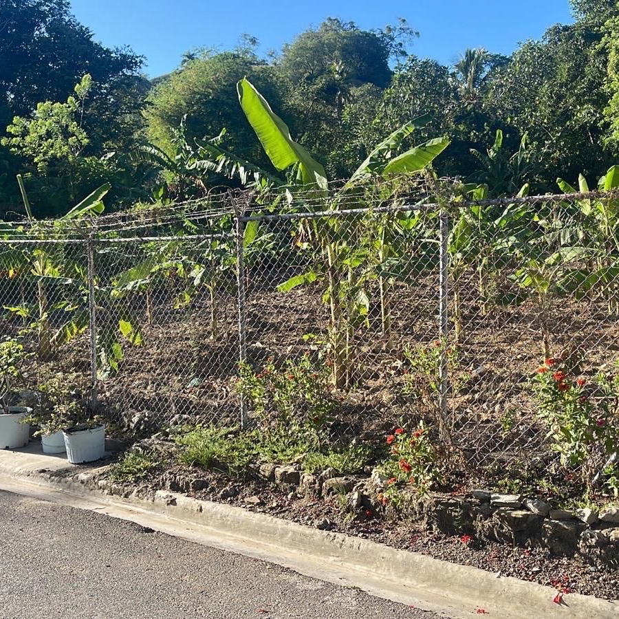 solares y terrenos - Se vende solar en comunidad de camu, puerto plata 