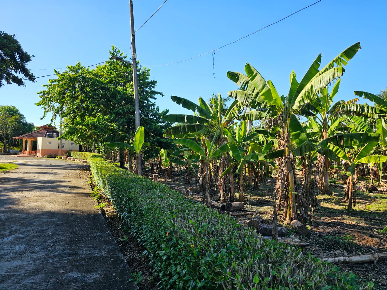 solares y terrenos - Solar de 168620m2 San Francisco de macoris 9