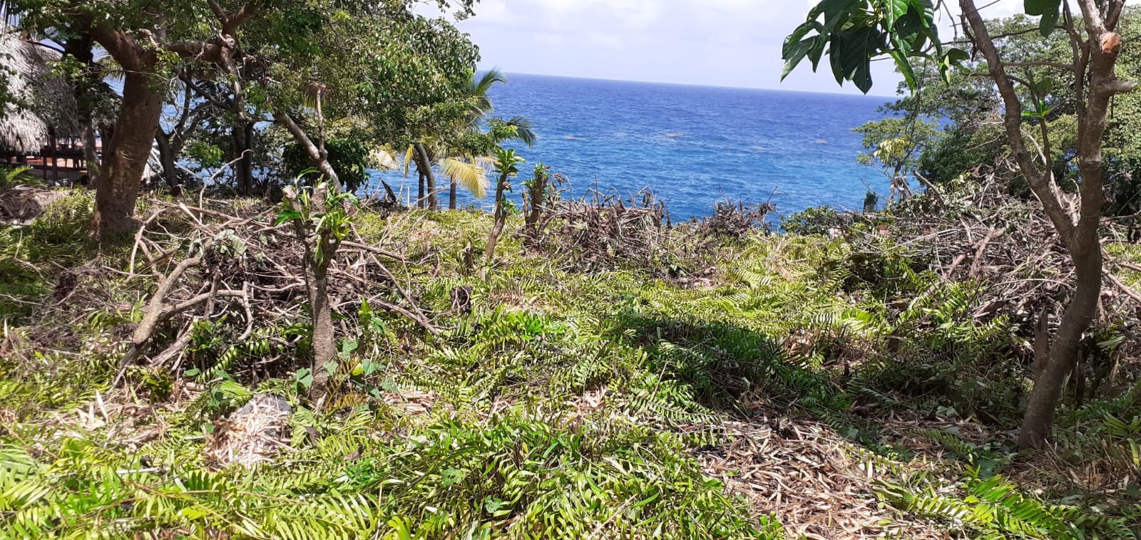 solares y terrenos - Terreno de 52.000 m2 en Las Galeras, fronte al mar 1