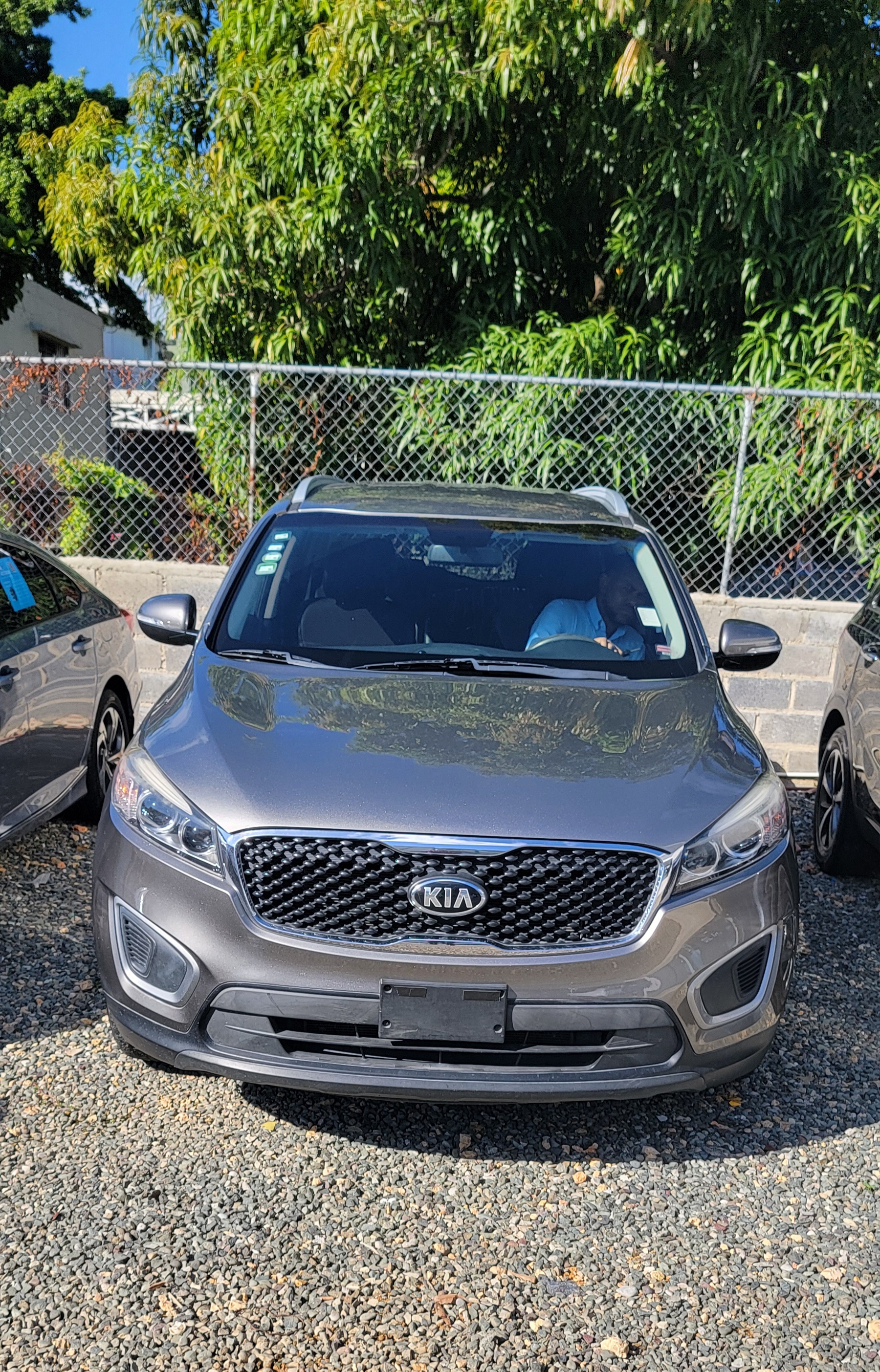 jeepetas y camionetas - KIA SORENTO EXV6 2016 2