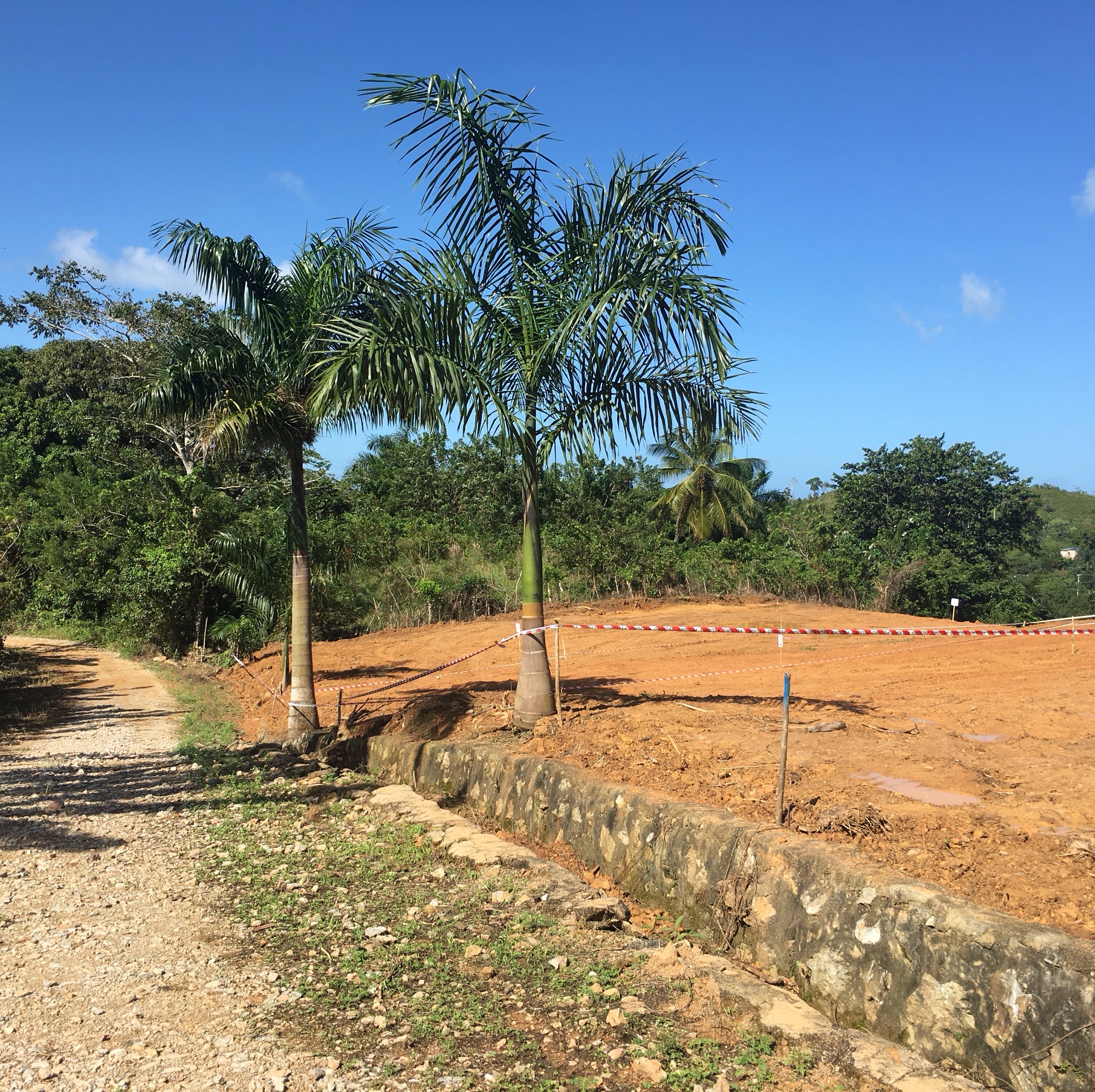 solares y terrenos - Ambos Terrenos baratos listos para construir tu casa en las terrenas de Samaná