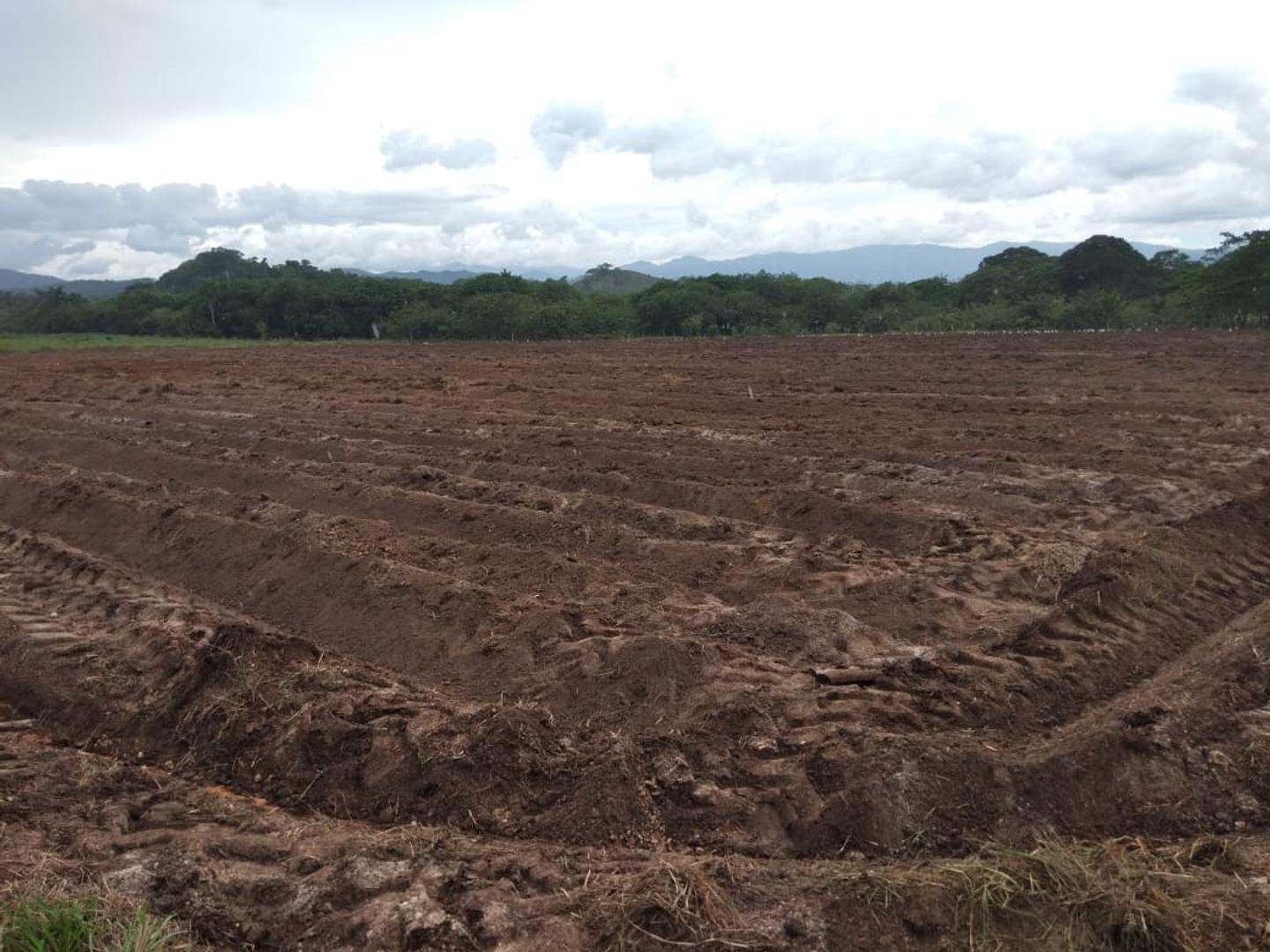 solares y terrenos - Solar 50 tareas en Jima, La Vega 0