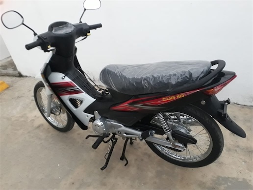 motores y pasolas - X1000 Cub-110cc 2022