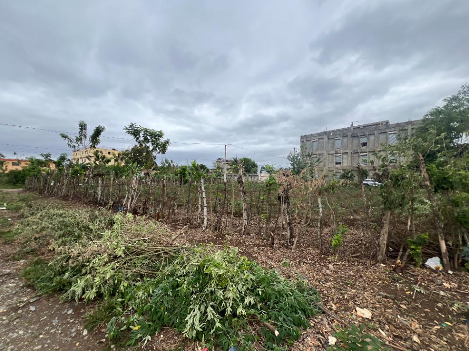 solares y terrenos - Terreno en URBANIZACIÓN LOS MAESTROS 2