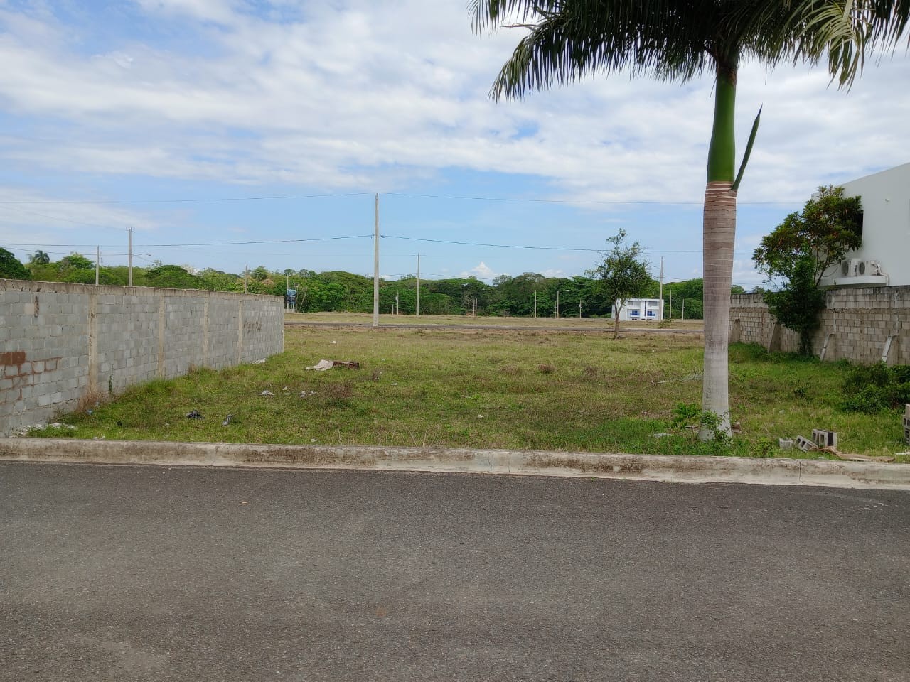 solares y terrenos - SOLAR EN VENTA EN SAN FRANCISCO DE MACORIS 0