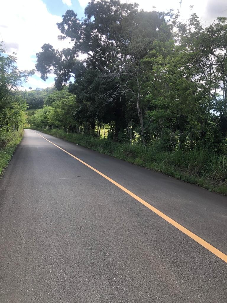 solares y terrenos - Finca  2,500 tareas en Bonao

