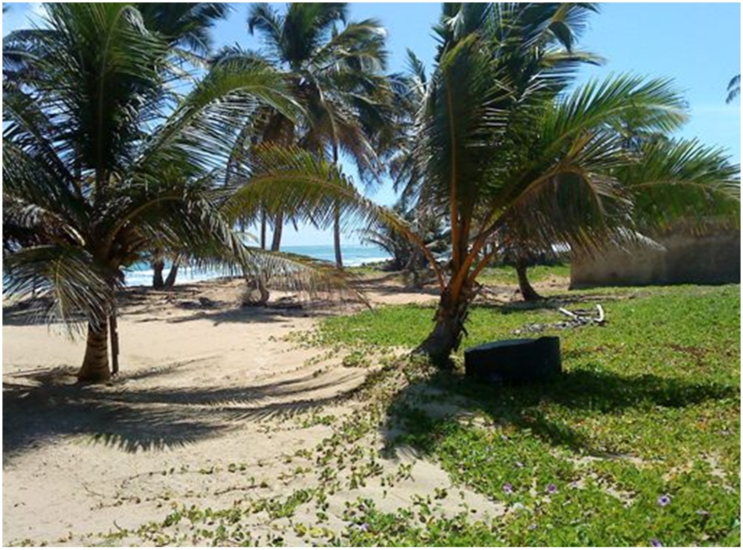 solares y terrenos - 1.5 MILLON DE METROS CUADRADOS CON PLAYA EN UVERO ALTO, CON LA MEJOR UBICACION 3