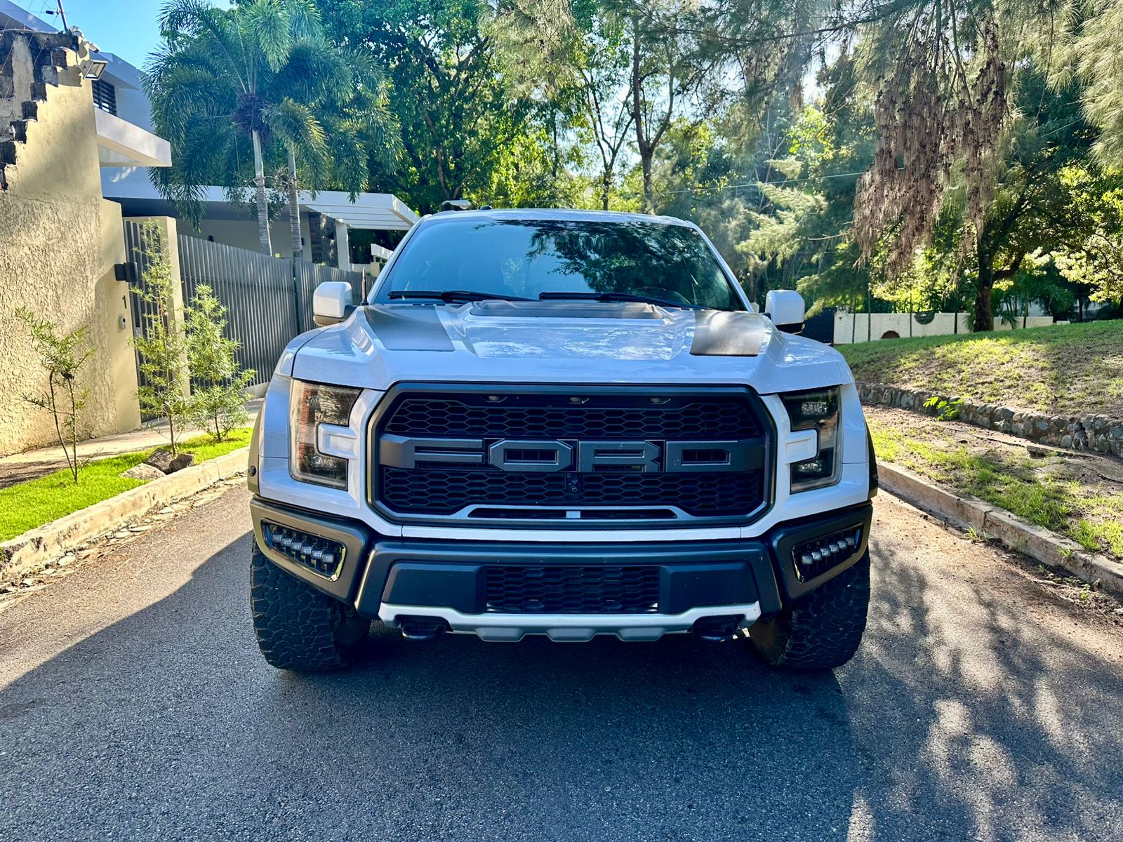 jeepetas y camionetas - Ford Raptor SVT 2018 impecable  2