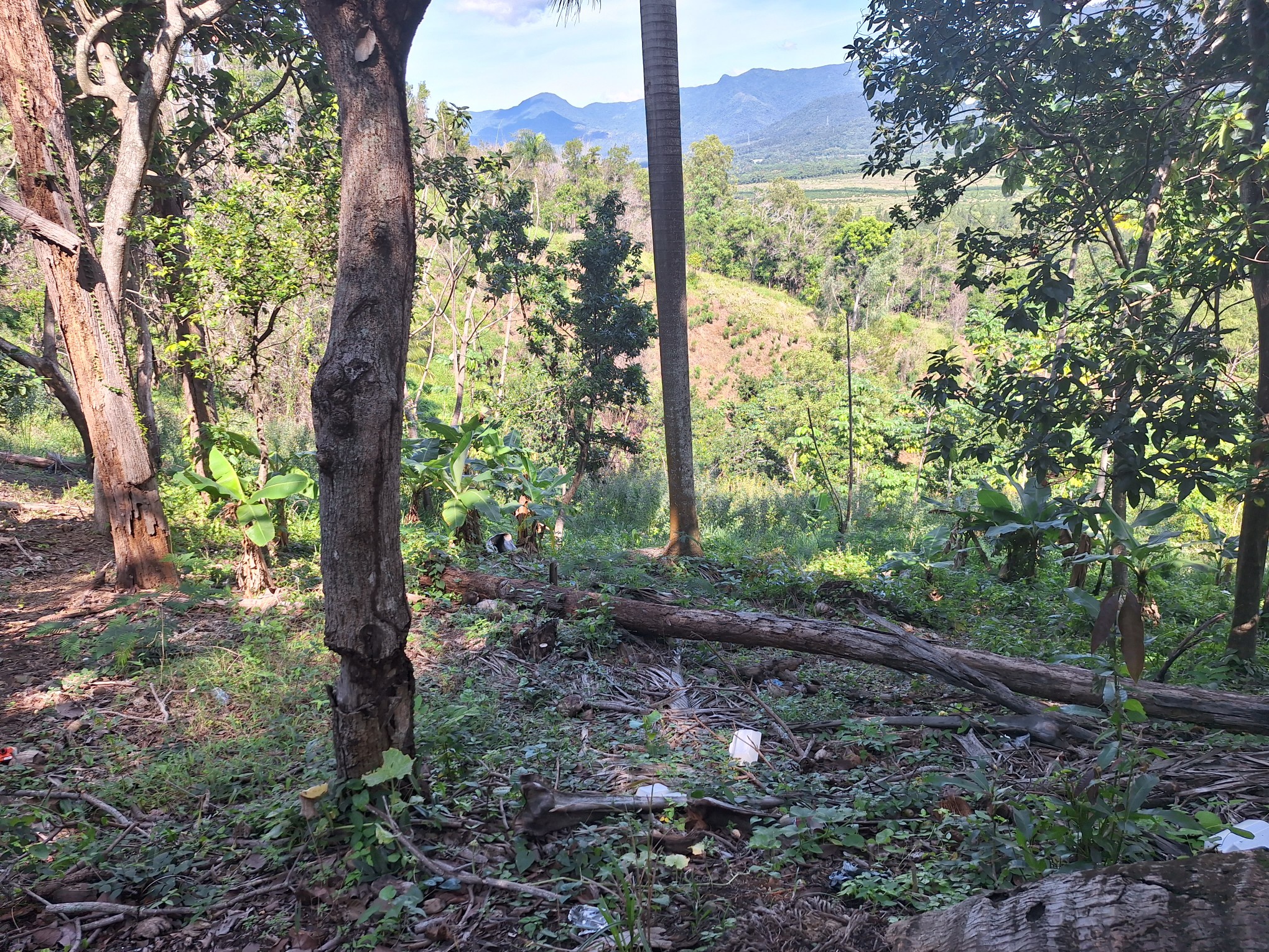 solares y terrenos - Propiedad con unas de las mejores vistas de villa altagracia 3