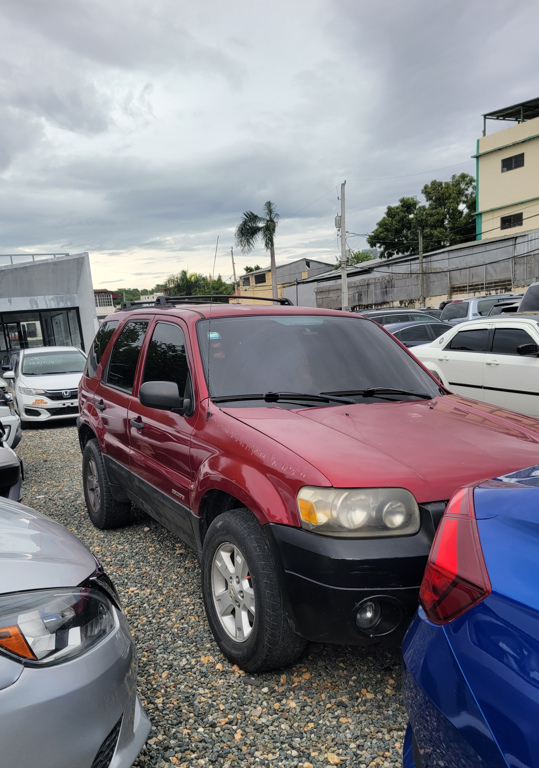 jeepetas y camionetas - FORD ESCAPE XLT 2005 1