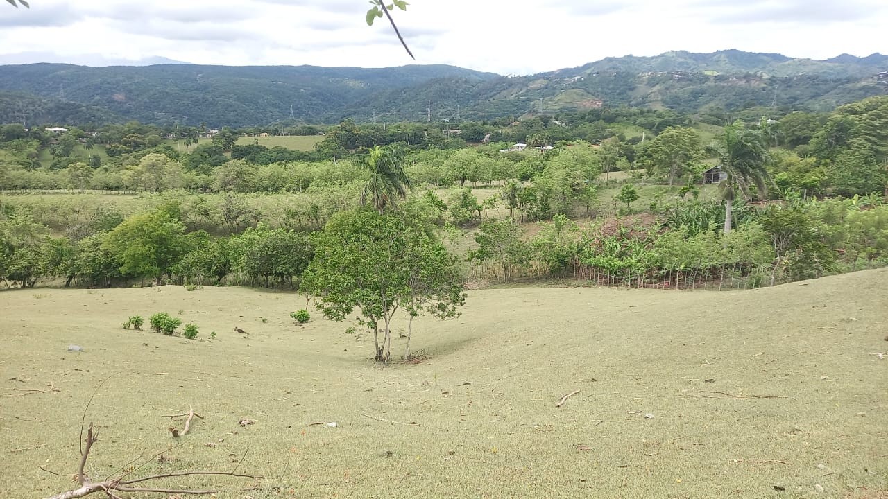 solares y terrenos - Terreno en La Vega Ideal para tu proyecto 