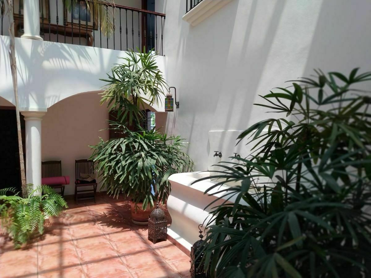 casas - Venta de Casa en Alameda amplia con Patio 2