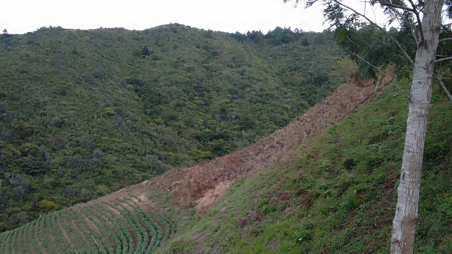 solares y terrenos - Venta de Solar en Constanza 3