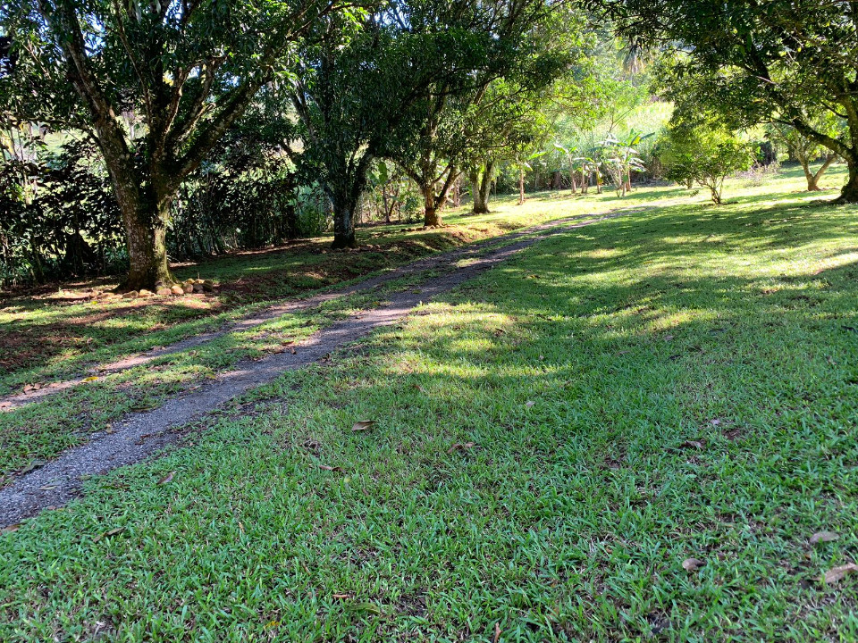 solares y terrenos - FINCA EN RANCHO ARRIBA, YABACOA, PIEDRA BLANCA, BO 2