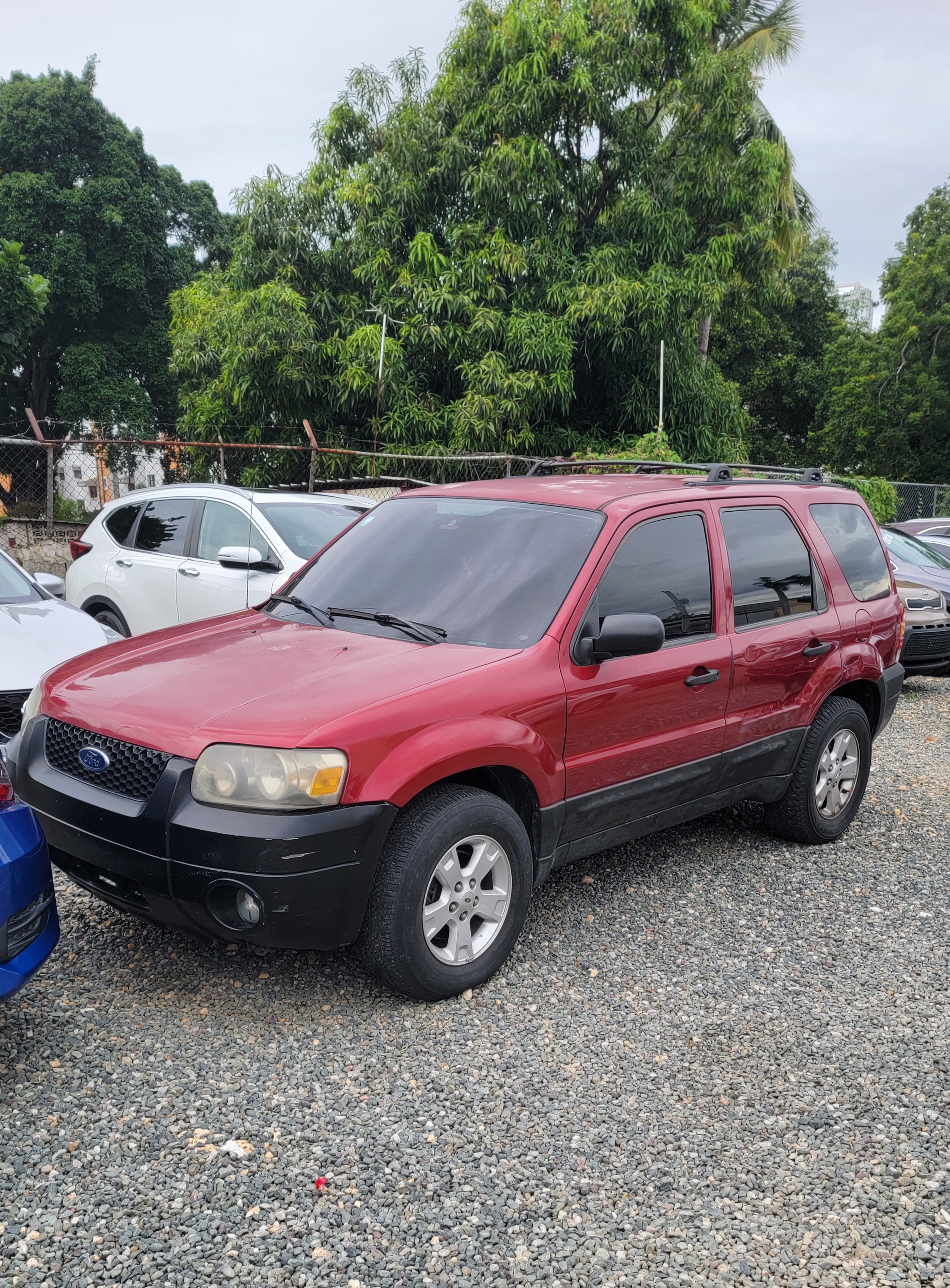 jeepetas y camionetas - FORD ESCAPE XLT 2005