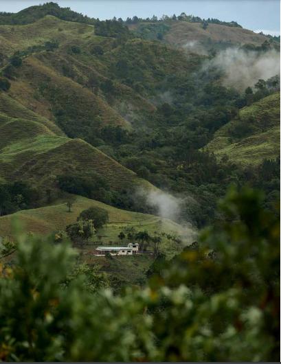 solares y terrenos - Terreno en venta en Jarabacoa