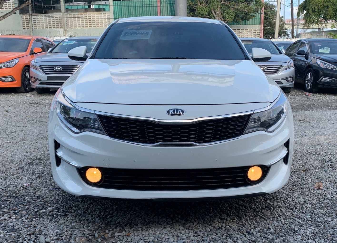 carros - KIA K5