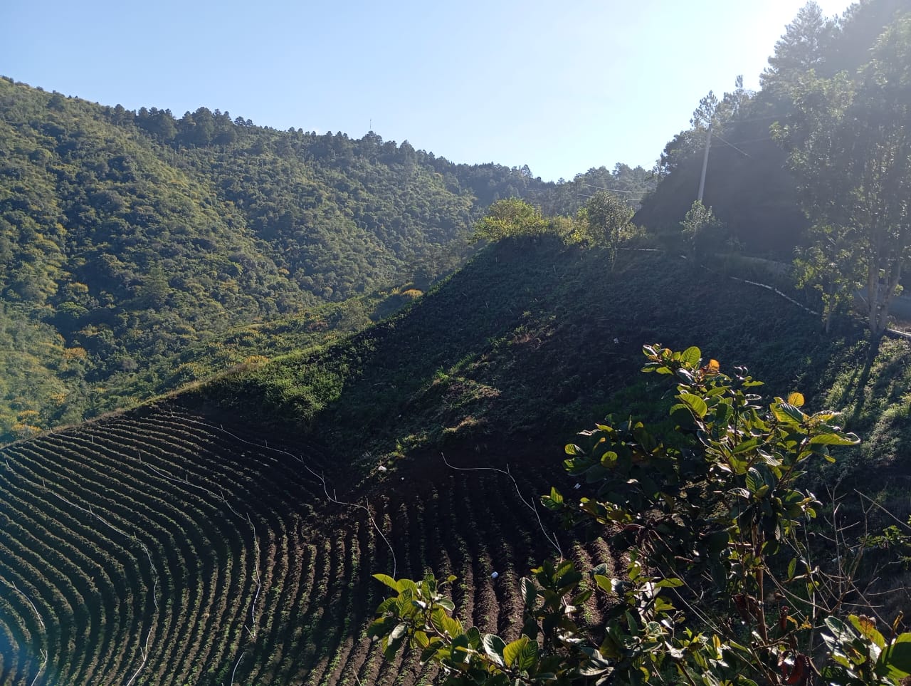 solares y terrenos - Venta de Solar en Constanza 4