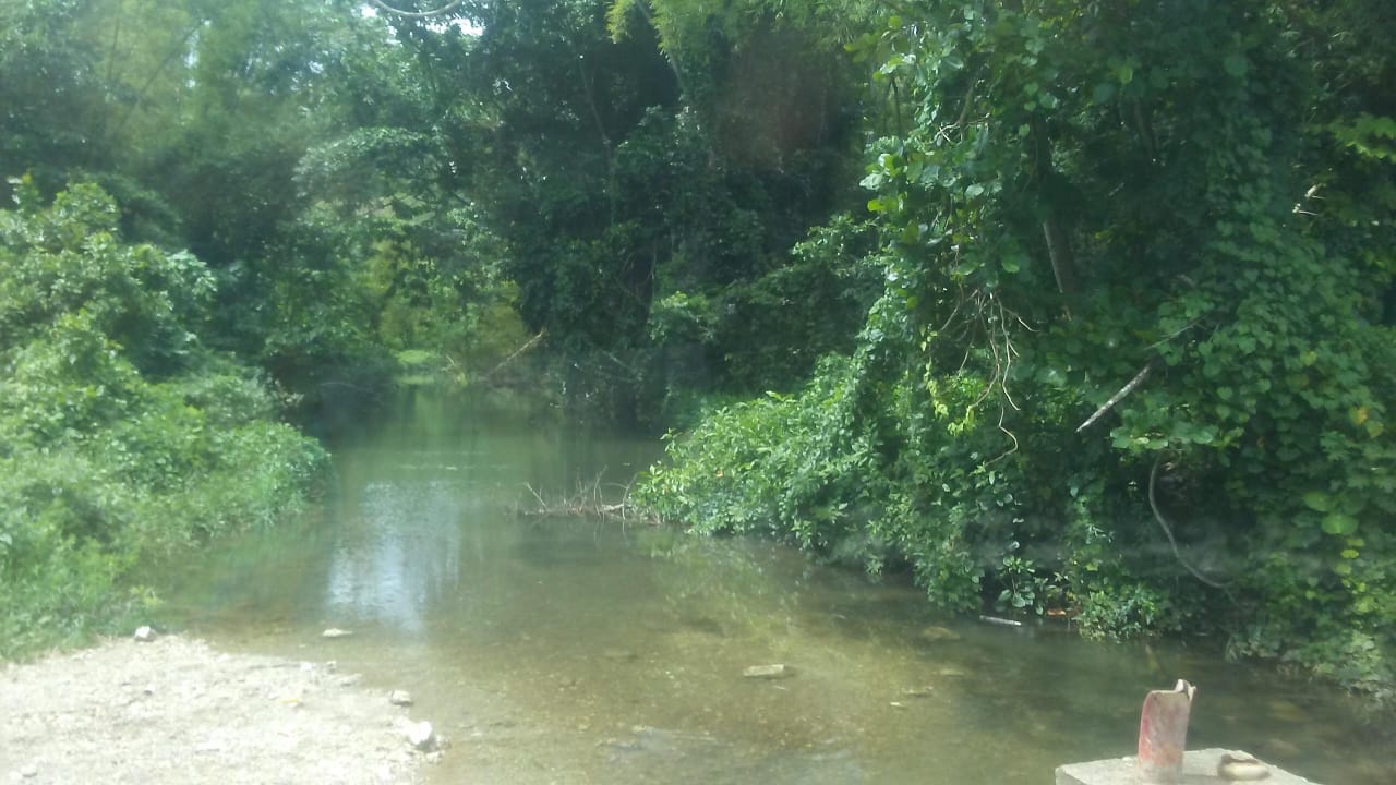 solares y terrenos - Vendo terreno en el valle de Samana para proyecto ecoturismo  1