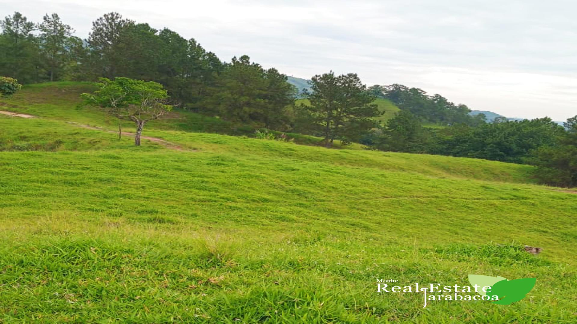 solares y terrenos - Terreno en venta en Jarabacoa 1