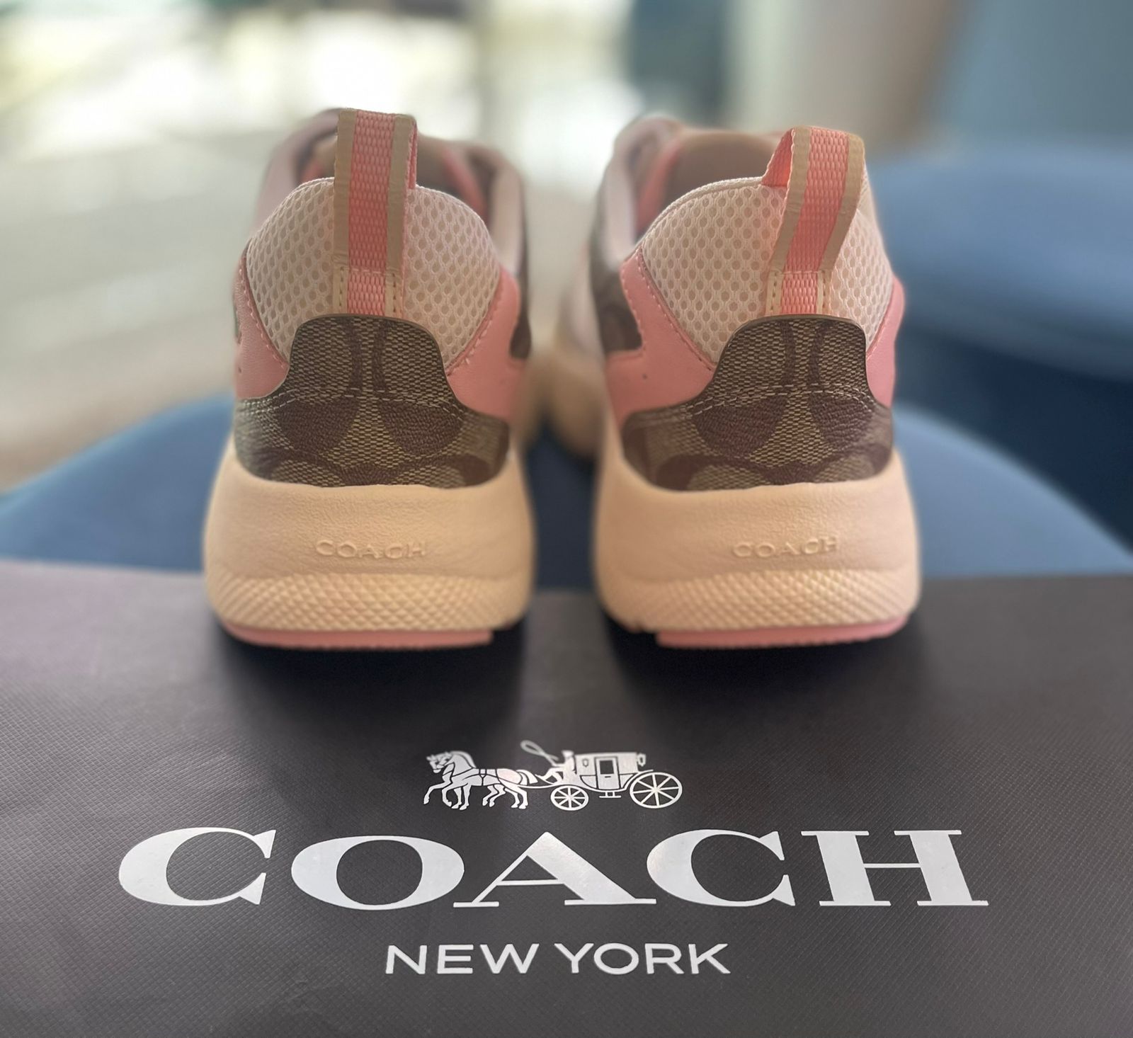 zapatos para mujer - TENIS PARA DAMAS MARCA COACH 