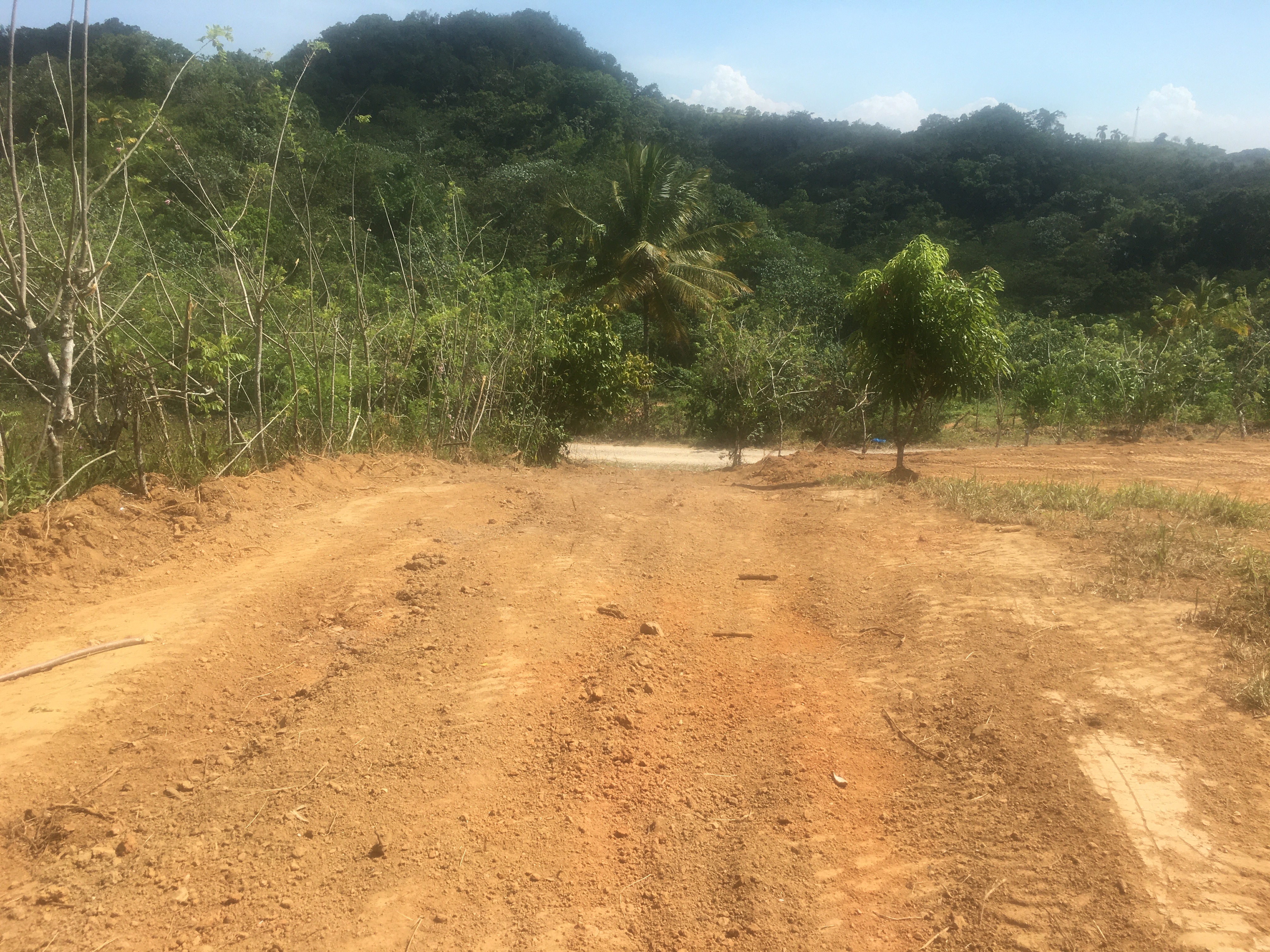 solares y terrenos - Ambos Terrenos baratos listos para construir tu casa en las terrenas de Samaná 1