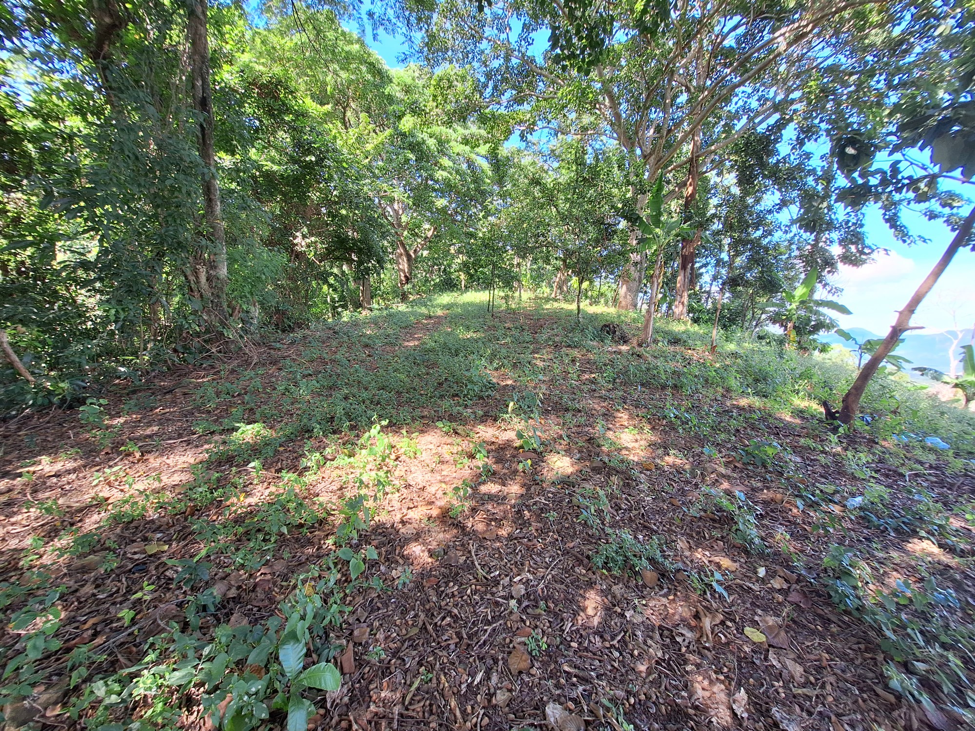 solares y terrenos - Propiedad con unas de las mejores vistas de villa altagracia 5