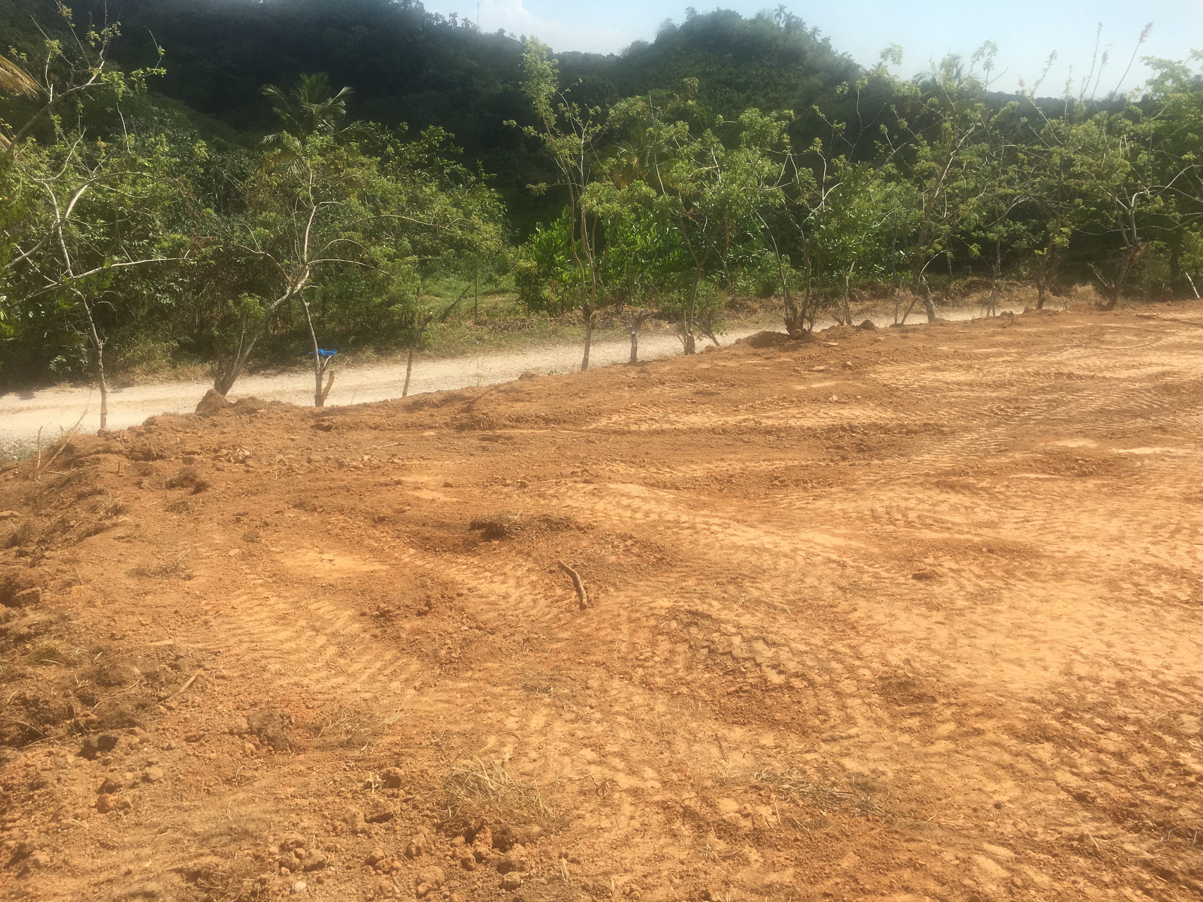 solares y terrenos - Ambos Terrenos baratos listos para construir tu casa en las terrenas de Samaná 2