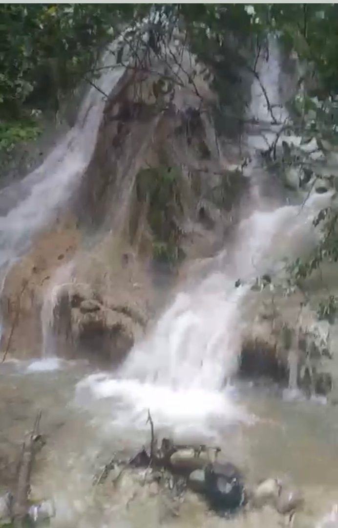 solares y terrenos -  finca de aguacate en Cambita San Cristobal de 201 tarea ,agua dentro  1