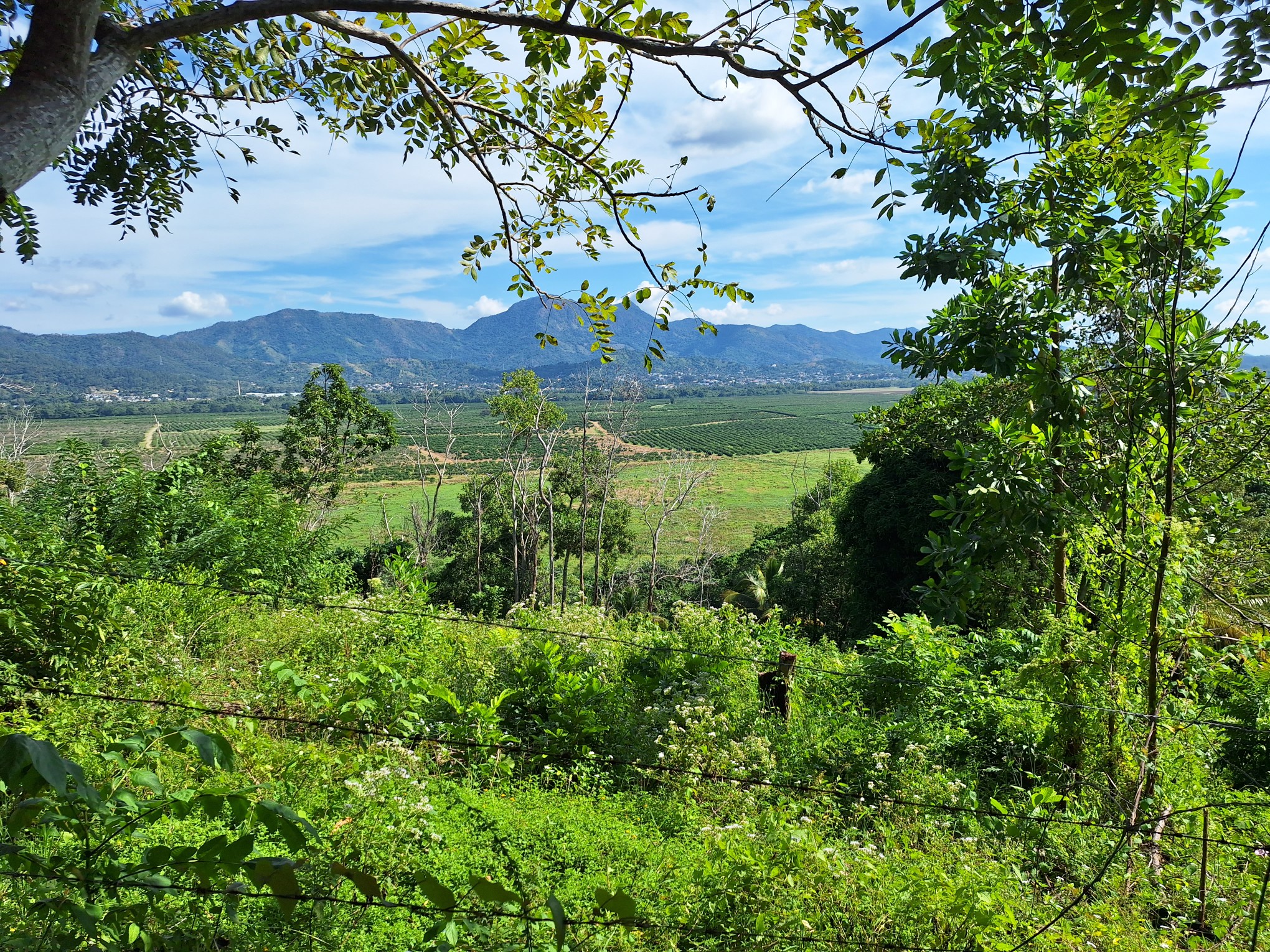 solares y terrenos - Propiedad con unas de las mejores vistas de villa altagracia 6