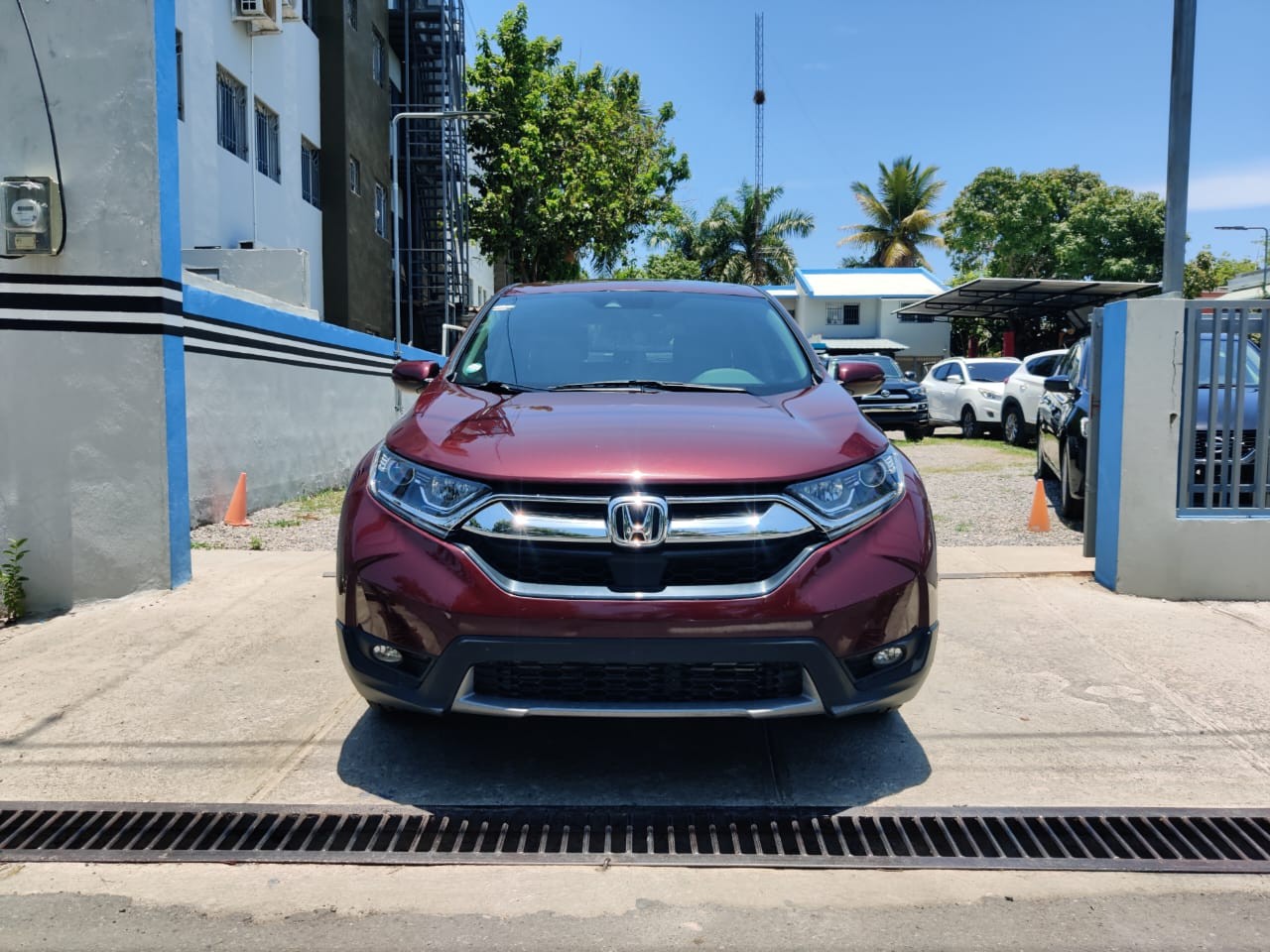 jeepetas y camionetas - 2019 HONDA CRV EXL  1