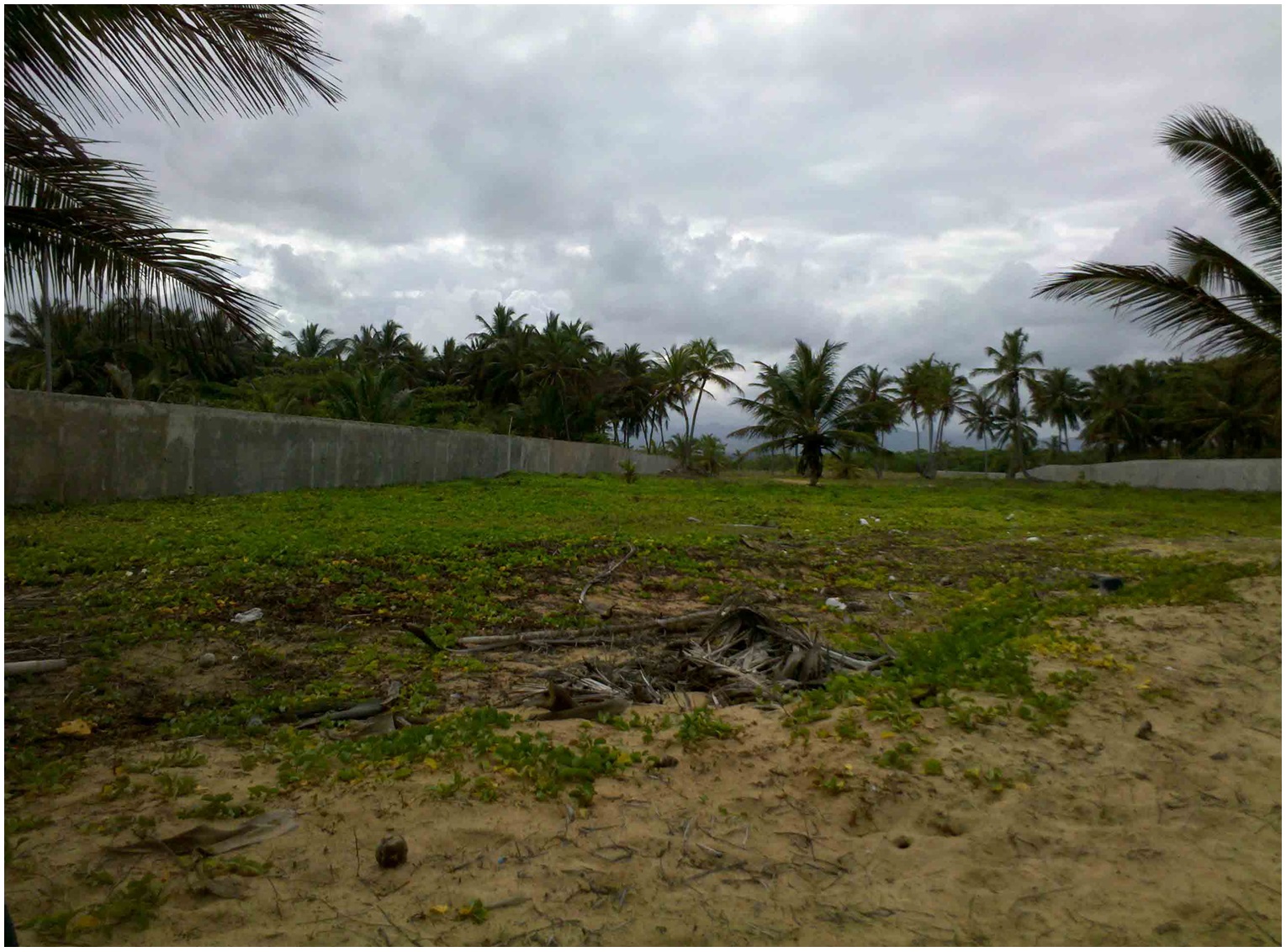 solares y terrenos - 1.5 MILLON DE METROS CUADRADOS CON PLAYA EN UVERO ALTO, CON LA MEJOR UBICACION 7