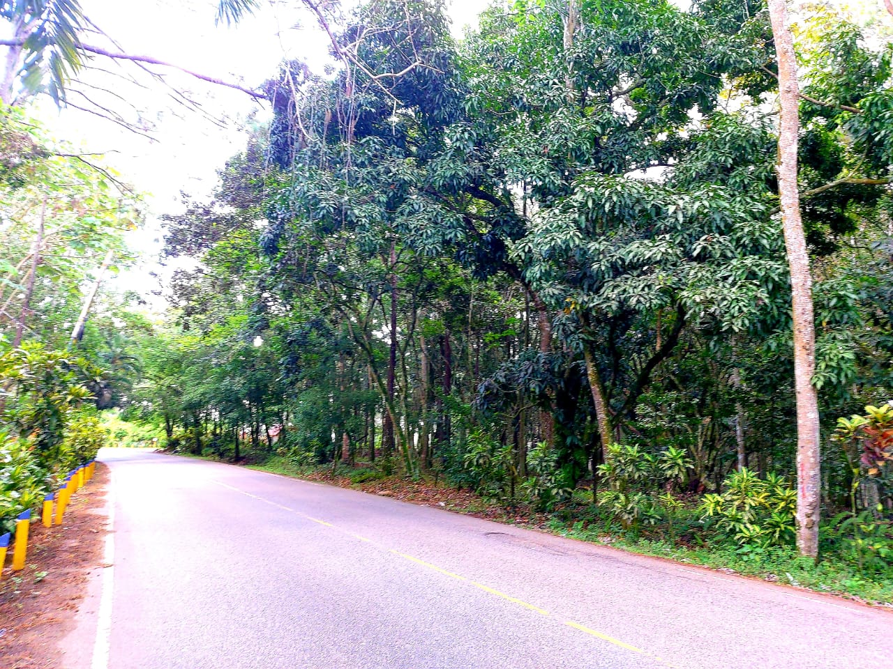 solares y terrenos - Terreno en Jarabacoa. 18,200 M2  1