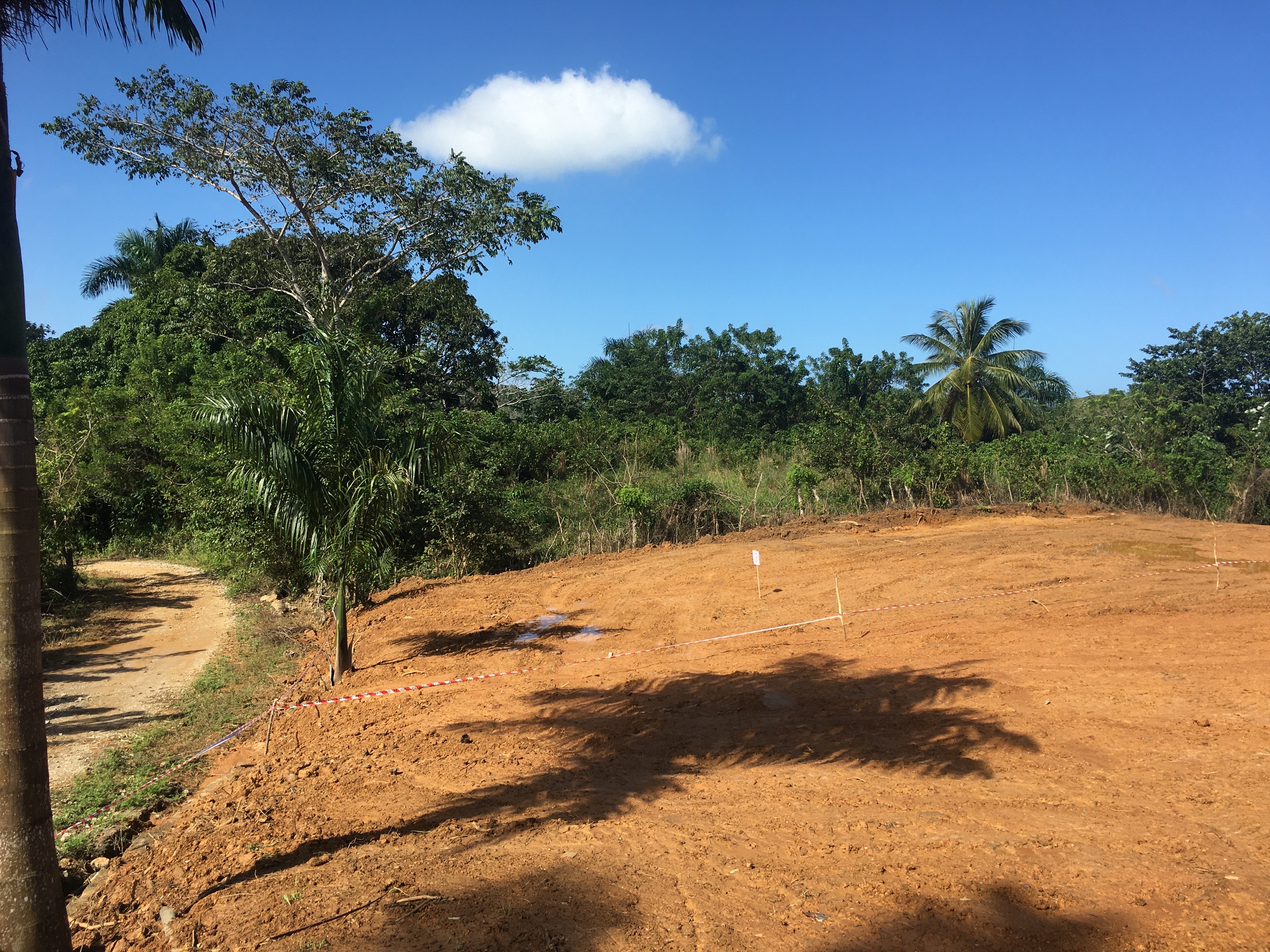 solares y terrenos - Ambos Terrenos baratos listos para construir tu casa en las terrenas de Samaná 3