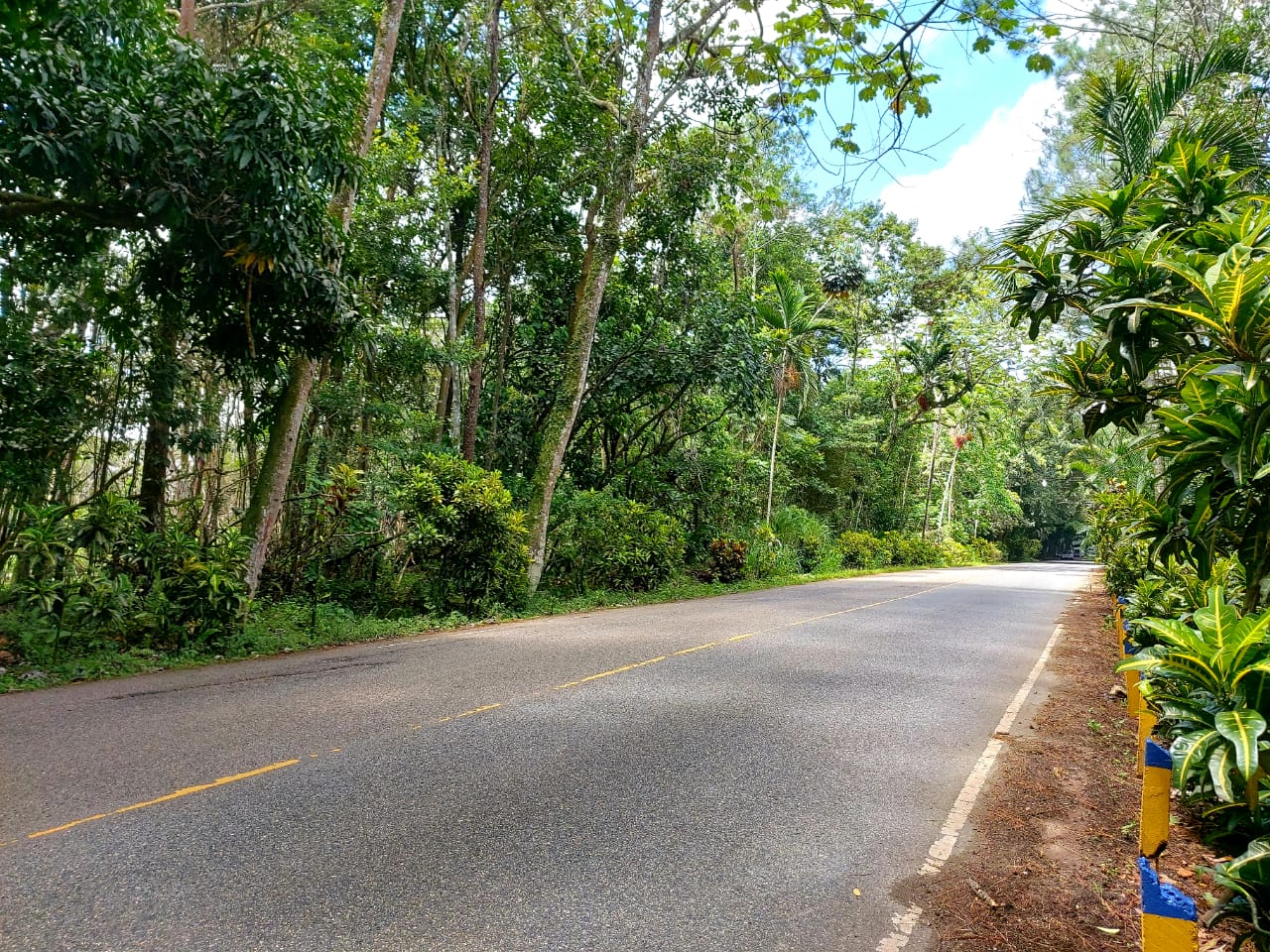 solares y terrenos - Terreno en Jarabacoa. 18,200 M2  2