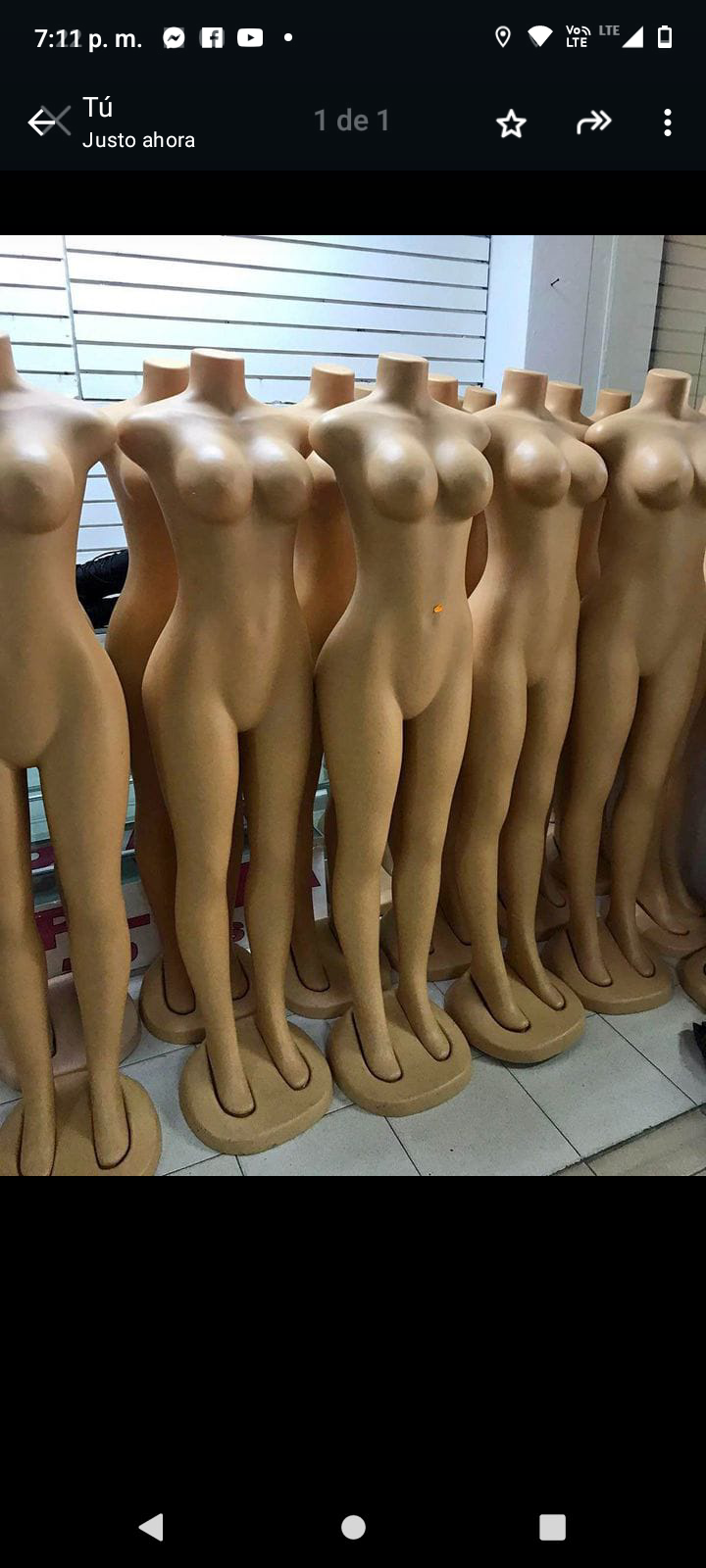 equipos profesionales - vendo maniquí  1