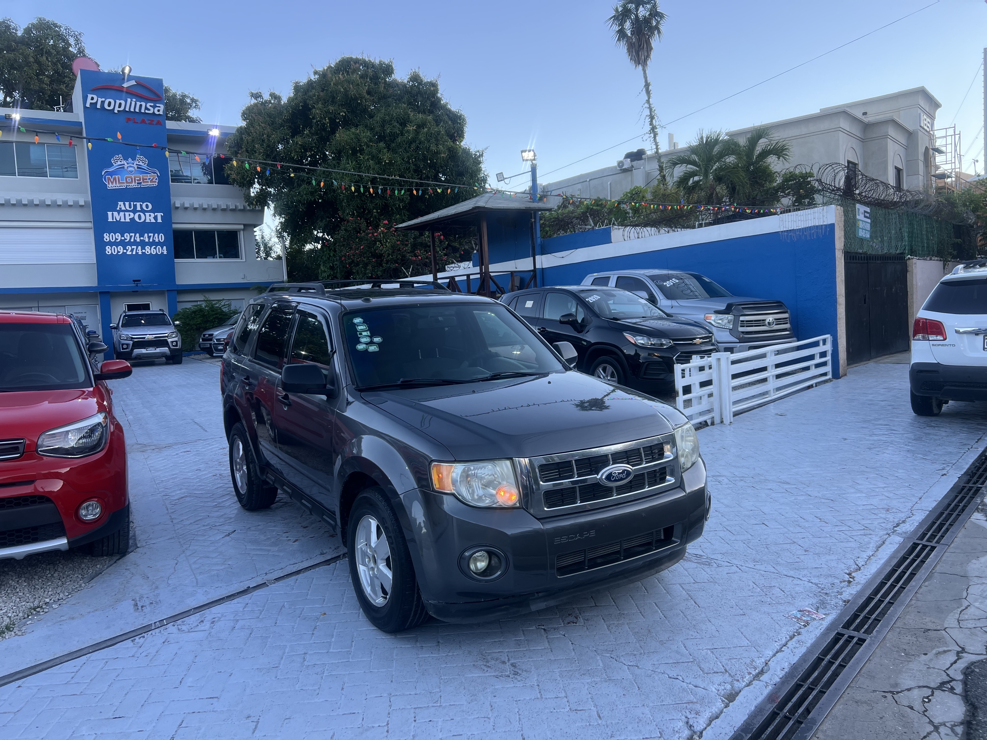 jeepetas y camionetas - Ford Escape 2011 XLT V6