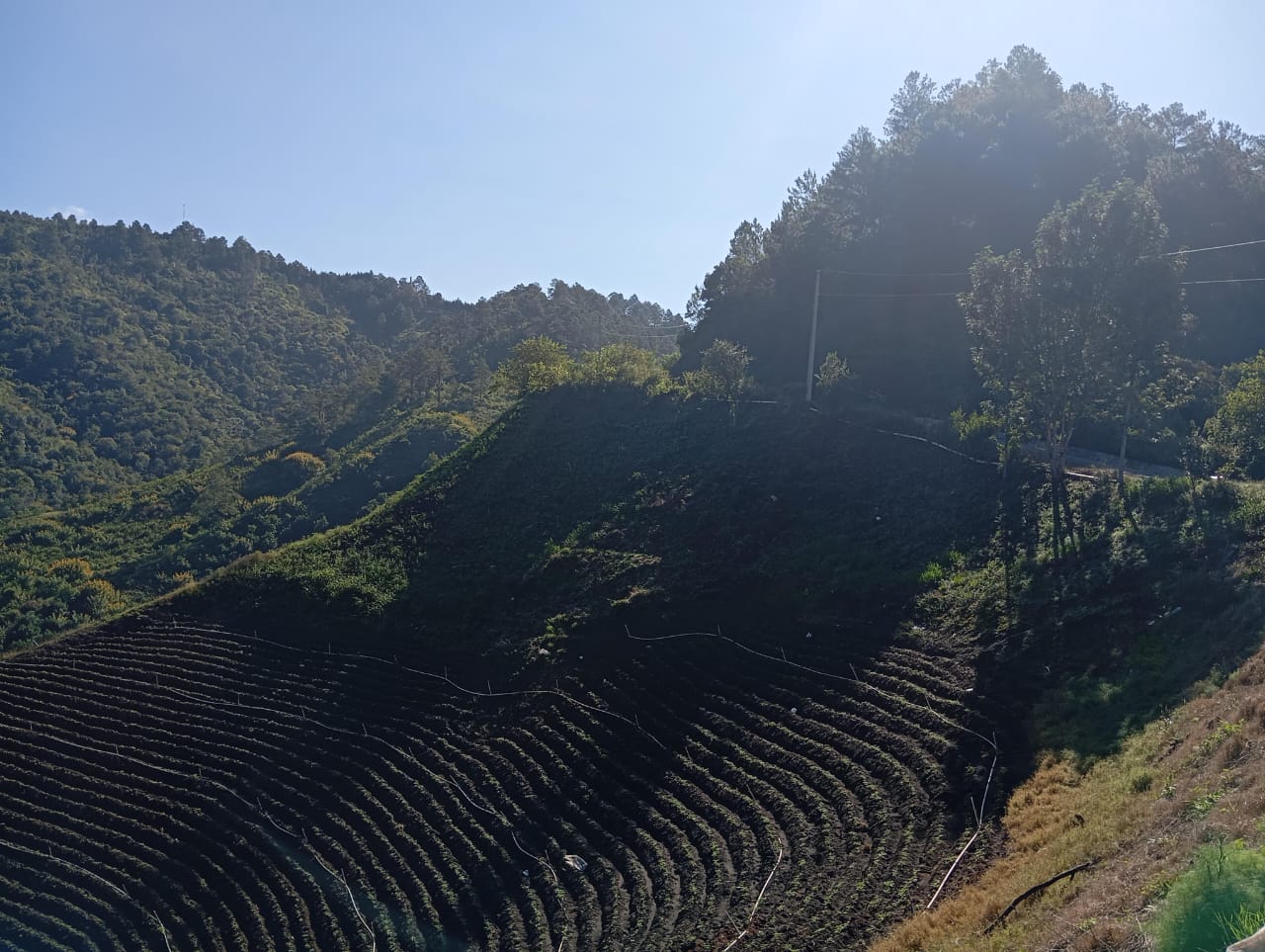 solares y terrenos - Venta de Solar en Constanza