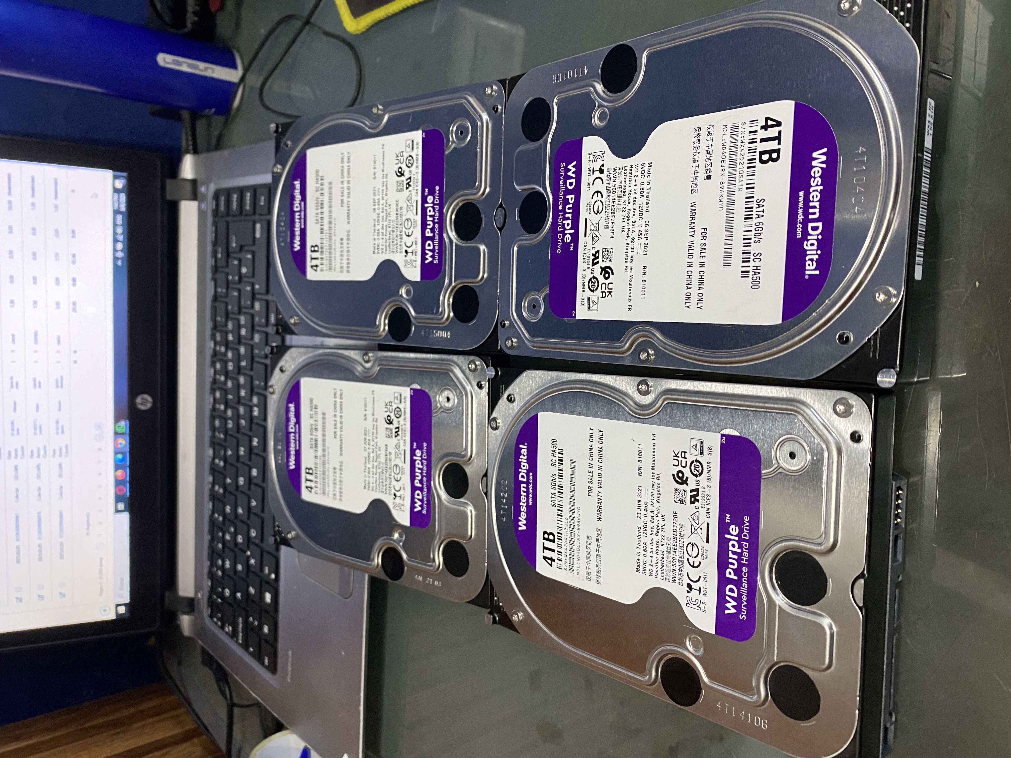 computadoras y laptops - disco sata HDD purpura 4TB  6