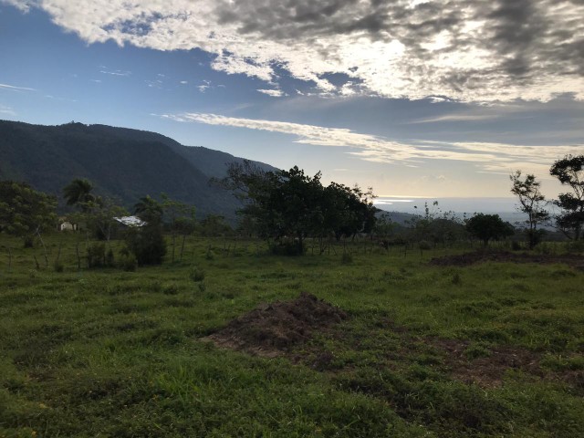 solares y terrenos - Solares en el cupey en proyecto listo para construir lugar de fácil acceso 4