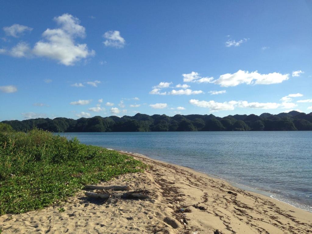 solares y terrenos - Venta de terreno en miches República Dominicana 