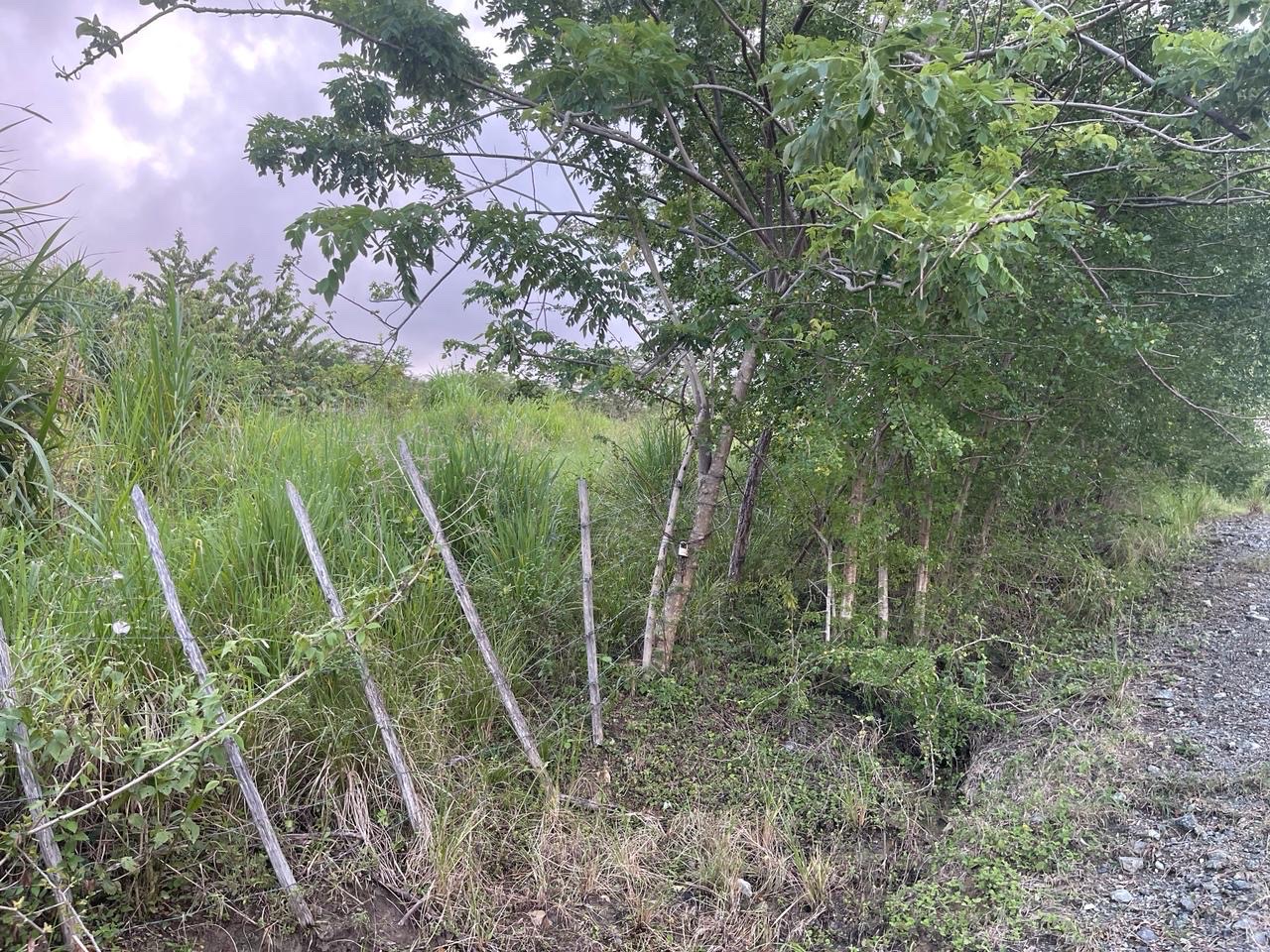 solares y terrenos - Se vende solar en la comunidad de camu, puerto plata  3